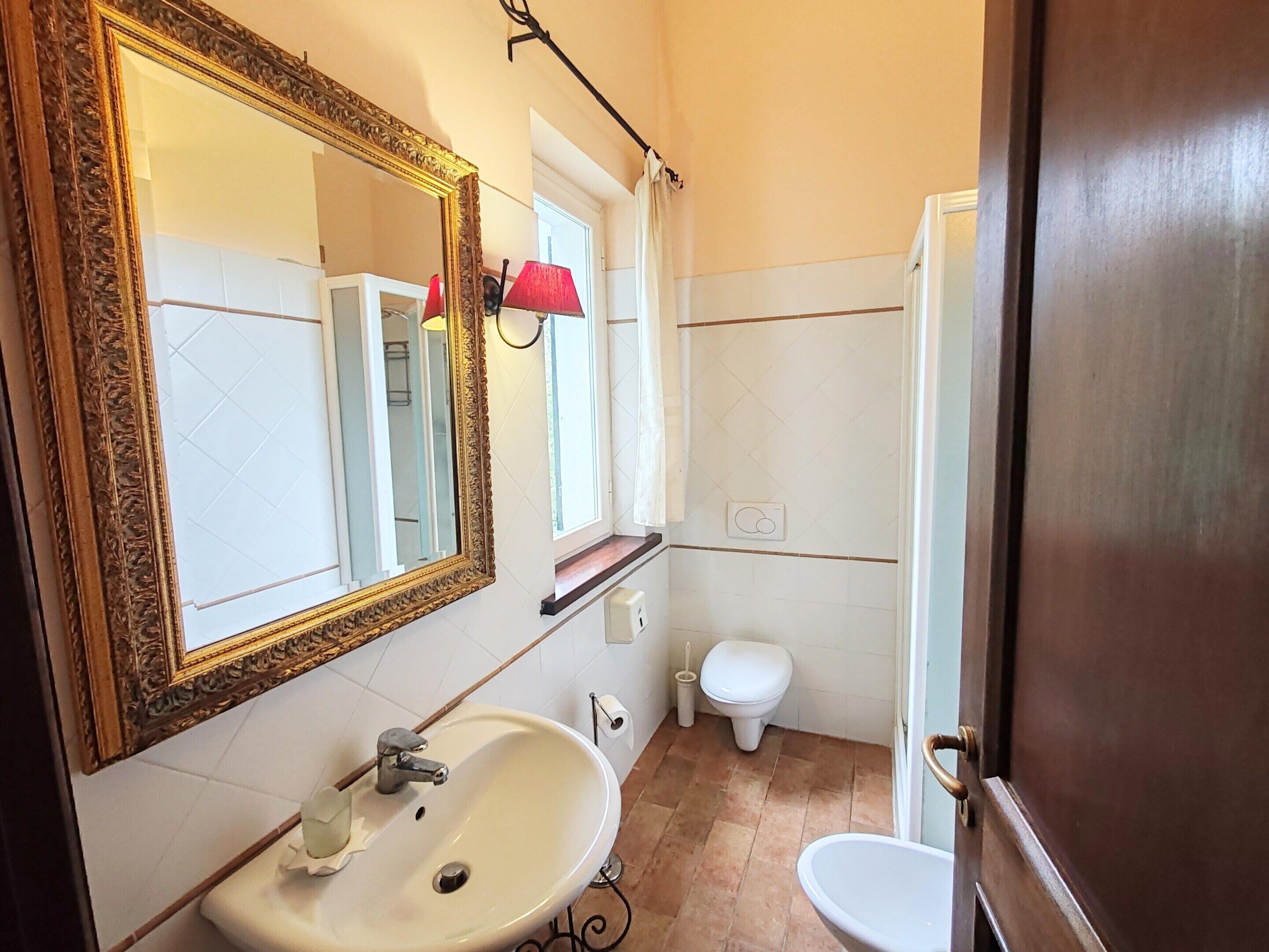 Une salle de bain dotée d’un grand miroir décoratif, d’un lavabo, de toilettes et d’un espace douche.