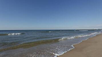 Departamento | Vista desde la propiedad