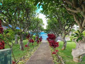 Property grounds - Exclusive Oceanfront Access at Alaeloa #3 (Lahaina)