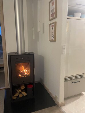 A wood-burning stove with a visible fire, a black base, and a small shelf with logs. - Cottage in scenic natural surroundings (Vordingborg)