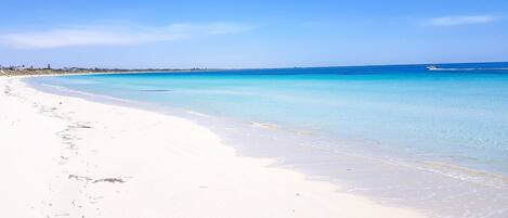 Toallas de playa