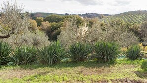 Casa | Jardín