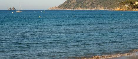 Una spiaggia nelle vicinanze
