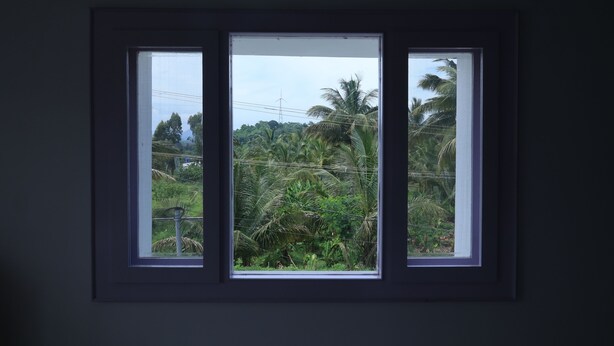 A window with a view of palm trees and a power line. - Iyer Square (Mannarkkad)
