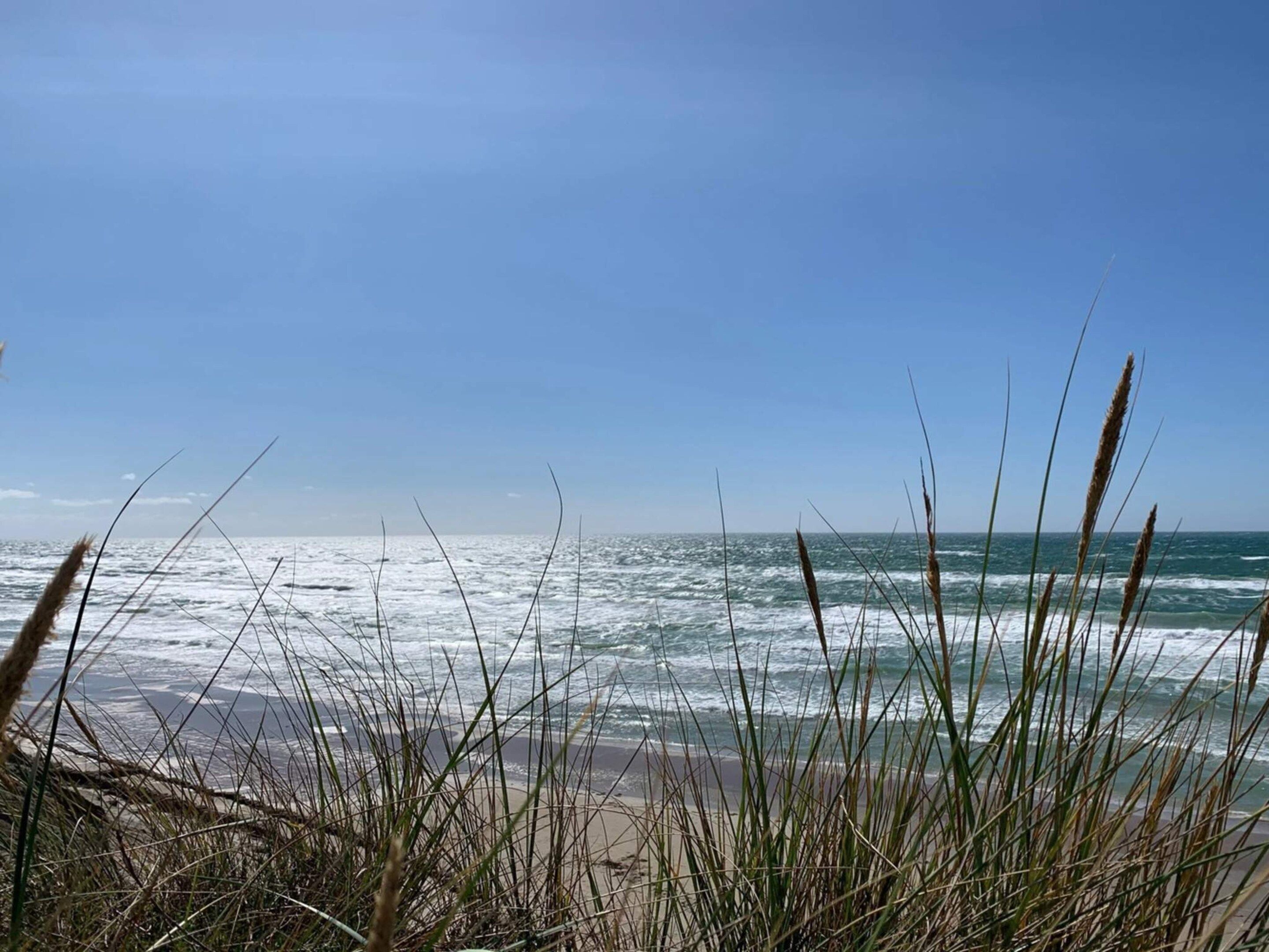 A beach with waves and grass in the foreground.