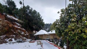 Un espacio exterior cubierto de nieve con escalones que conducen a un edificio con tejado blanco.