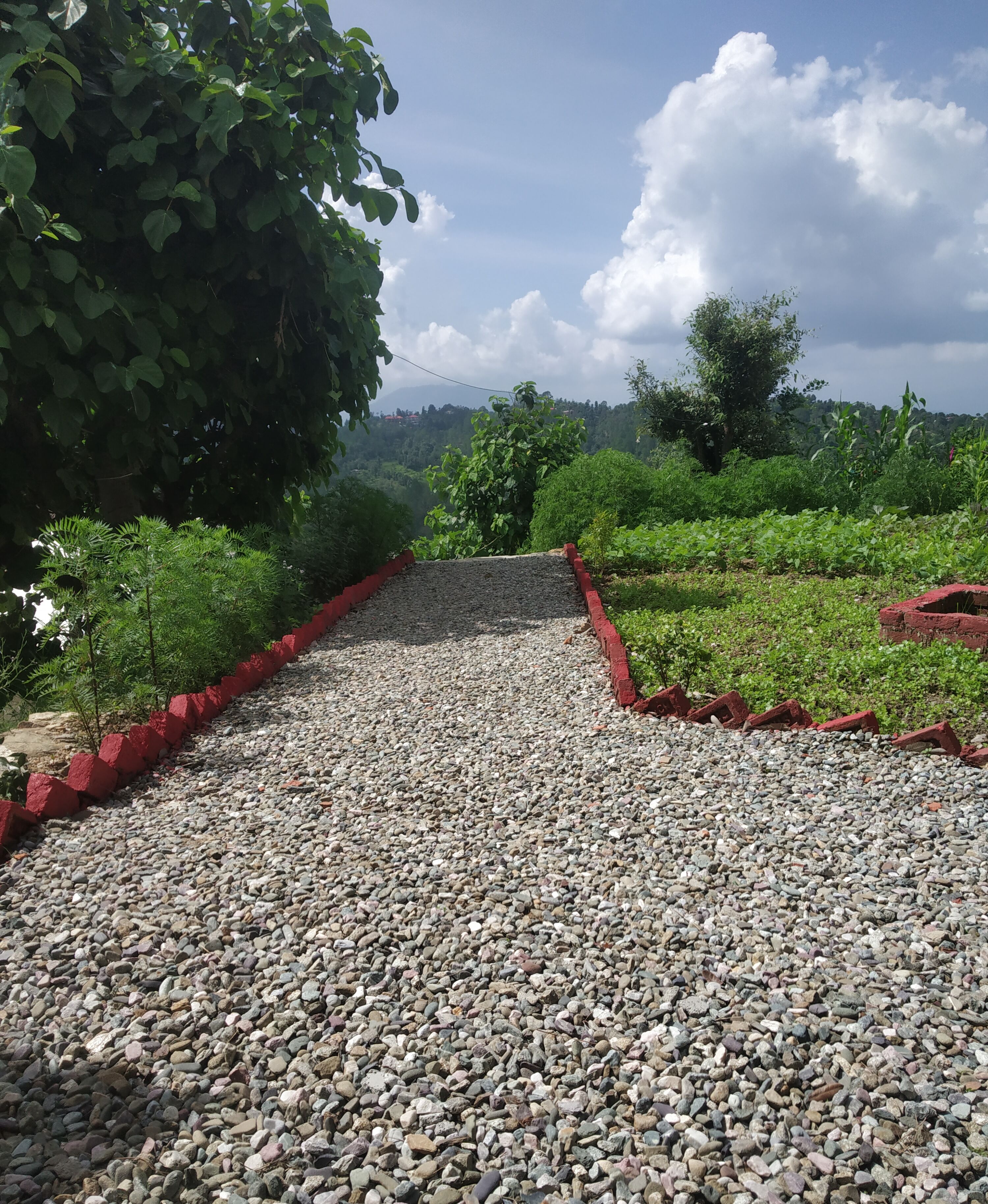A gravel path bordered by red bricks, leading through a green landscape with trees and plants.