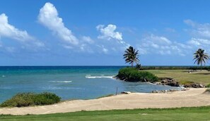 Playa en los alrededores 