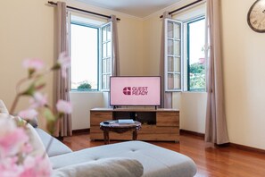 TV