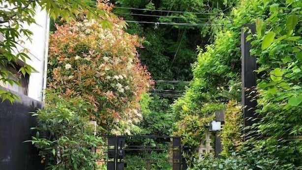 A narrow pathway flanked by dense foliage and a metal gate, leading to a building. - Kamakura Vacation House (Kamakura)