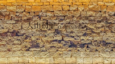 大山初里 OriginVilla 民宿