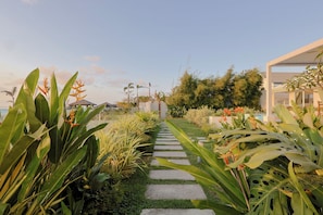A garden pathway leading to a modern building with tropical plants and a clear sky.