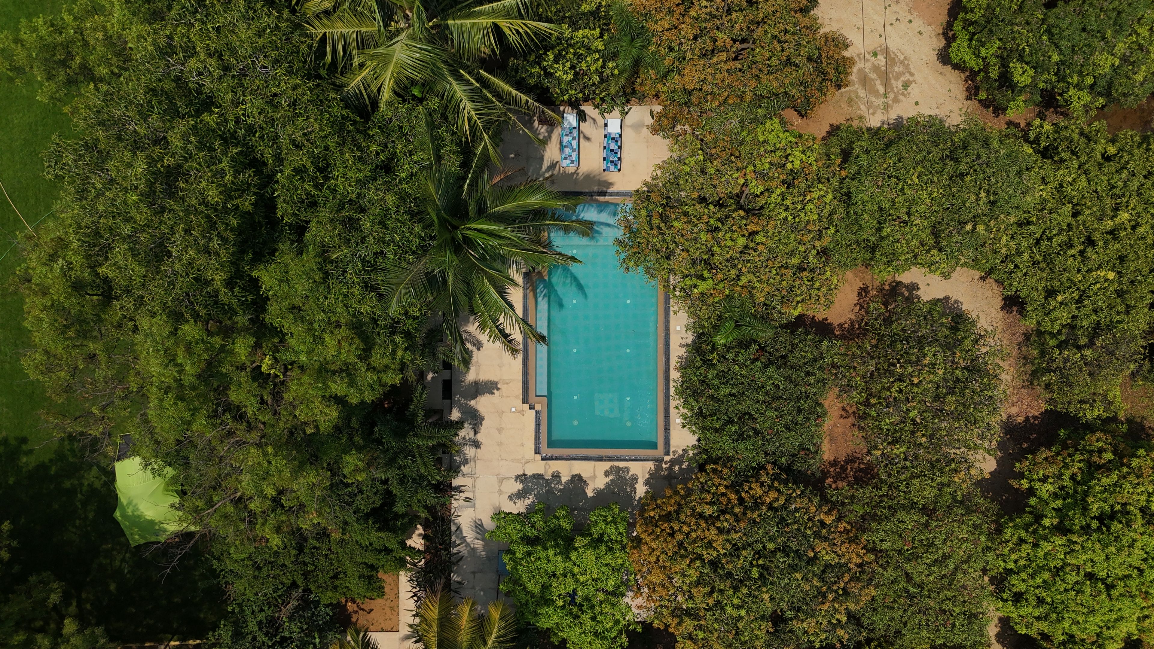 An aerial view of a rectangular swimming pool surrounded by dense greenery and two lounge areas.
