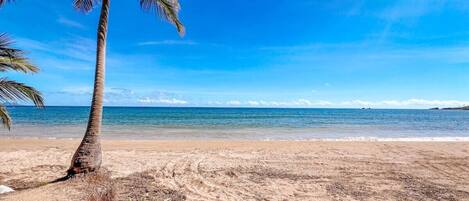 Accommodatie ligt op het strand