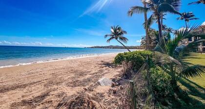 Crescent Beach Apt | Ocean View