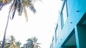 A swimming pool with a blue-tiled edge, surrounded by a green fence and palm trees. - Ravissant Hotel Mandrem (Mandrem)