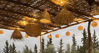 Villa Safran Ailleurs sous les Oliviers 15 minutes from the medina in Marrakech