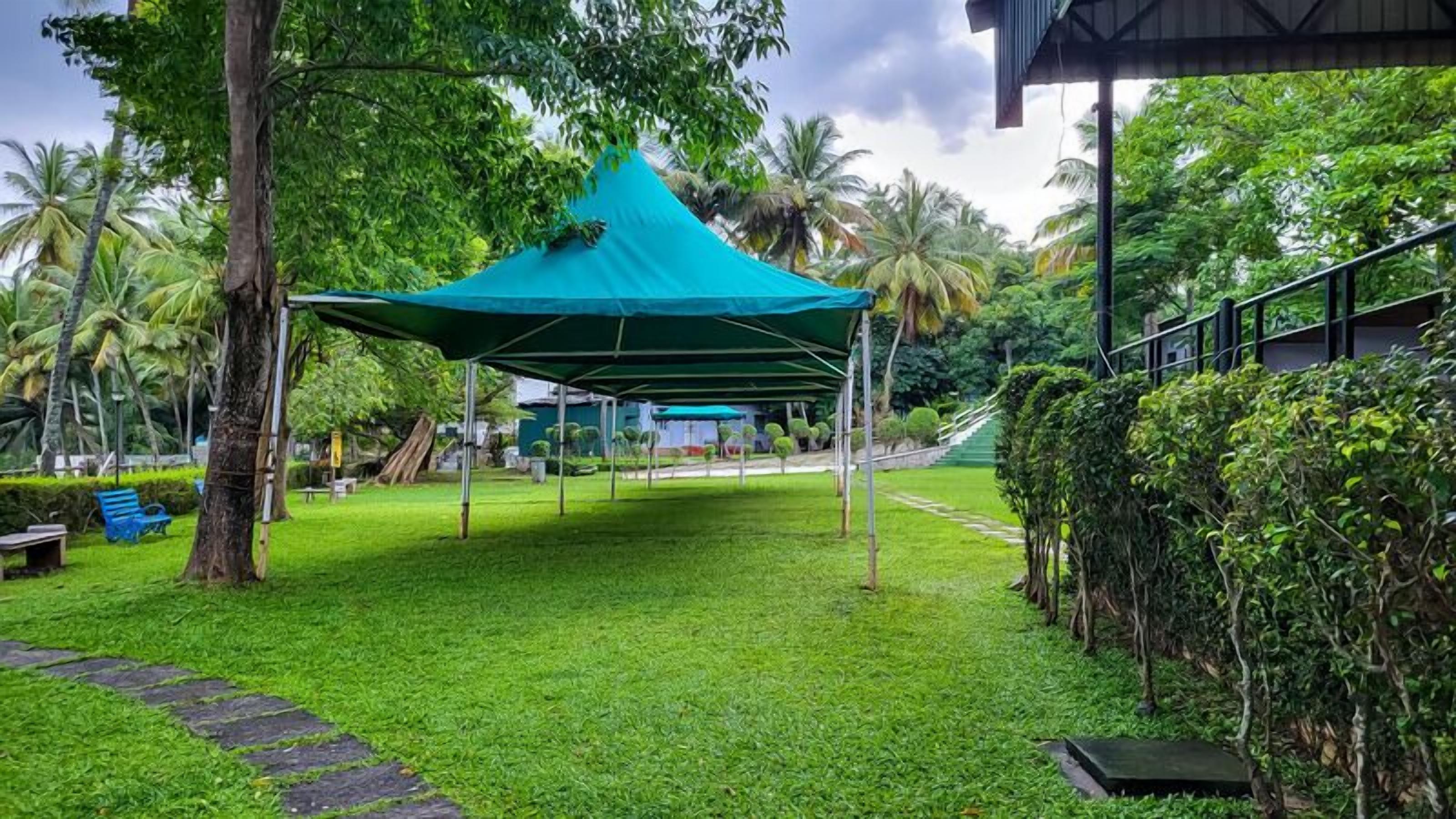 A covered outdoor area with a grassy lawn, palm trees, and a pathway leading to a building.