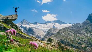 Chalet | Vue depuis lâhĂ©bergement