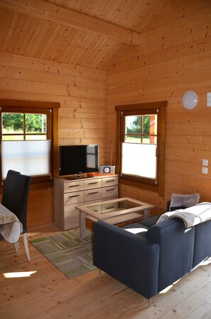 Fernseher