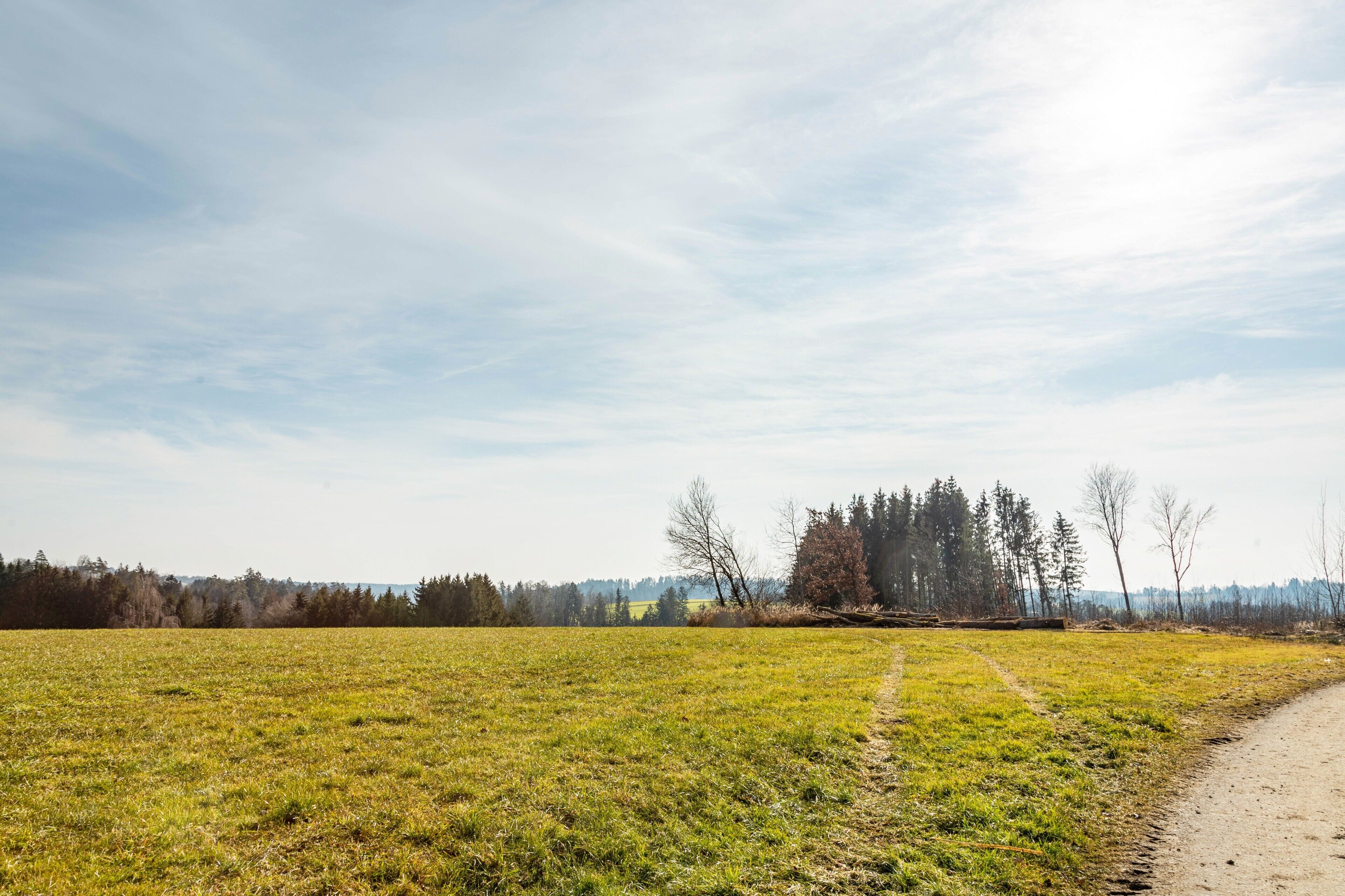 A rural landscape with a dirt path, open fields, and a line of trees in the distance.