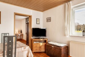 Fernseher, Kamin