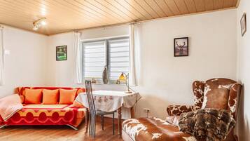 Fernseher, Kamin