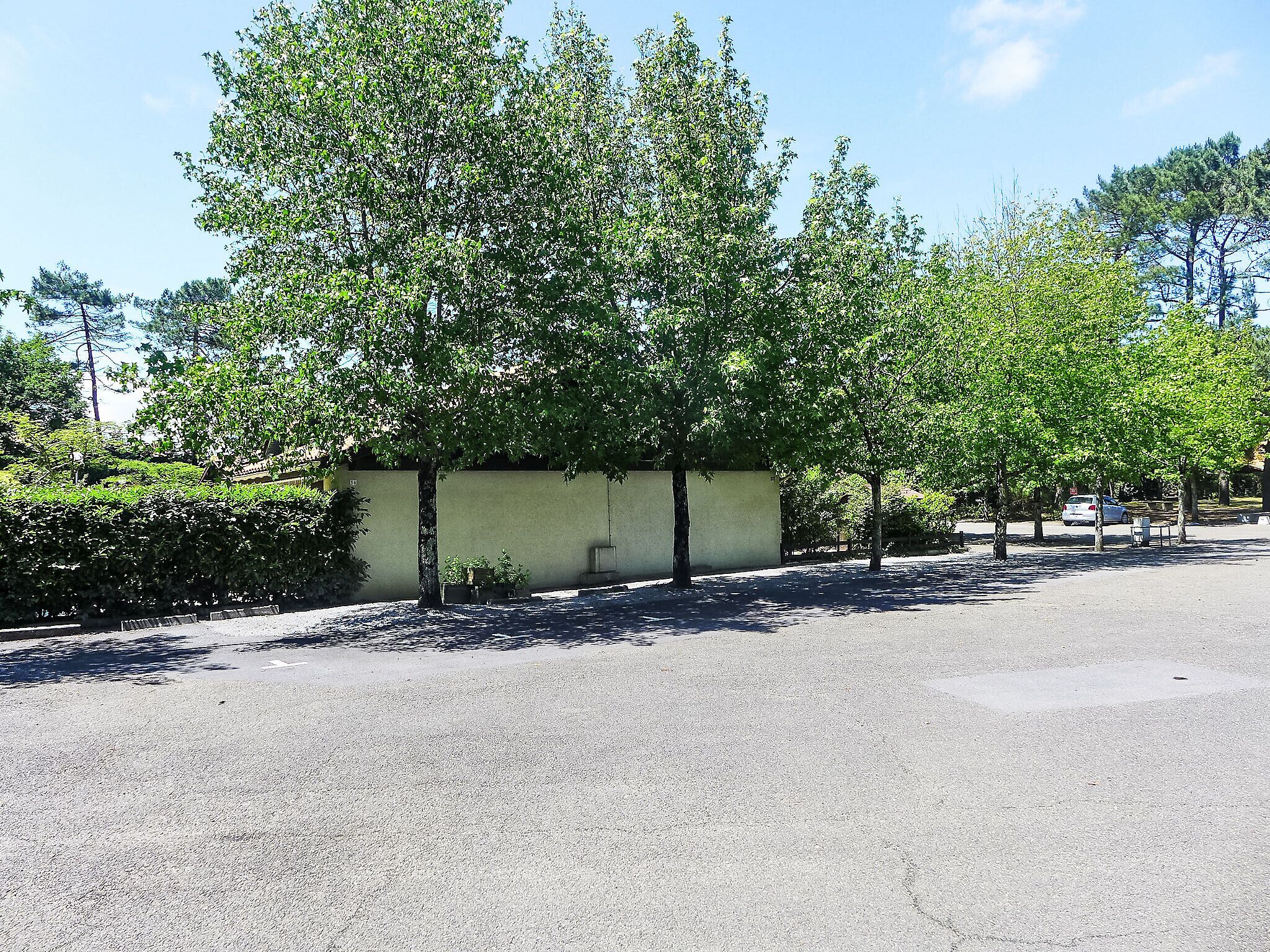 Un parcheggio alberato con un edificio sullo sfondo.