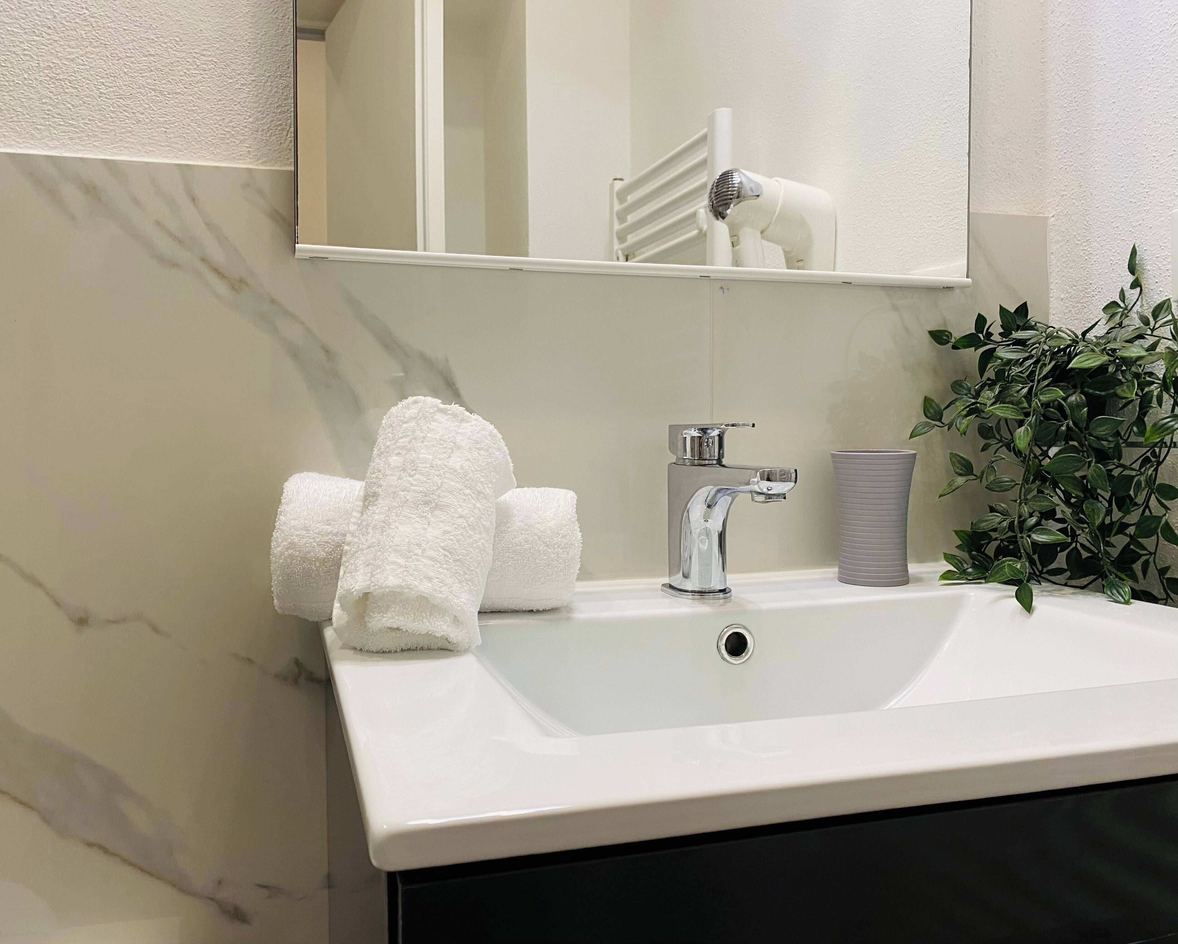 A bathroom with a white sink, a mirror, and a potted plant.