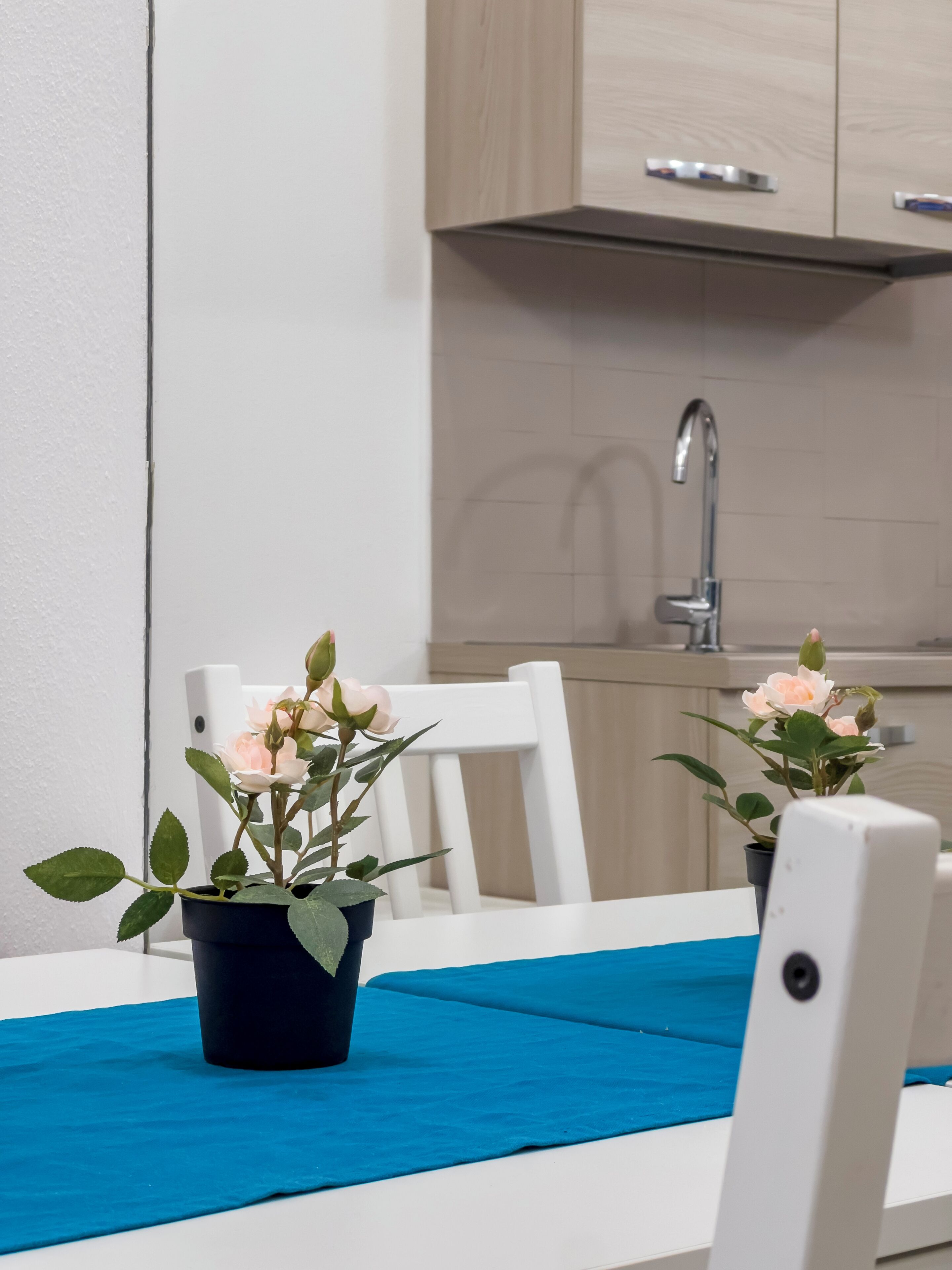 Une cuisine avec des meubles blancs, un évier en acier inoxydable et deux plantes en pot, fleuries, posées sur une nappe bleue.