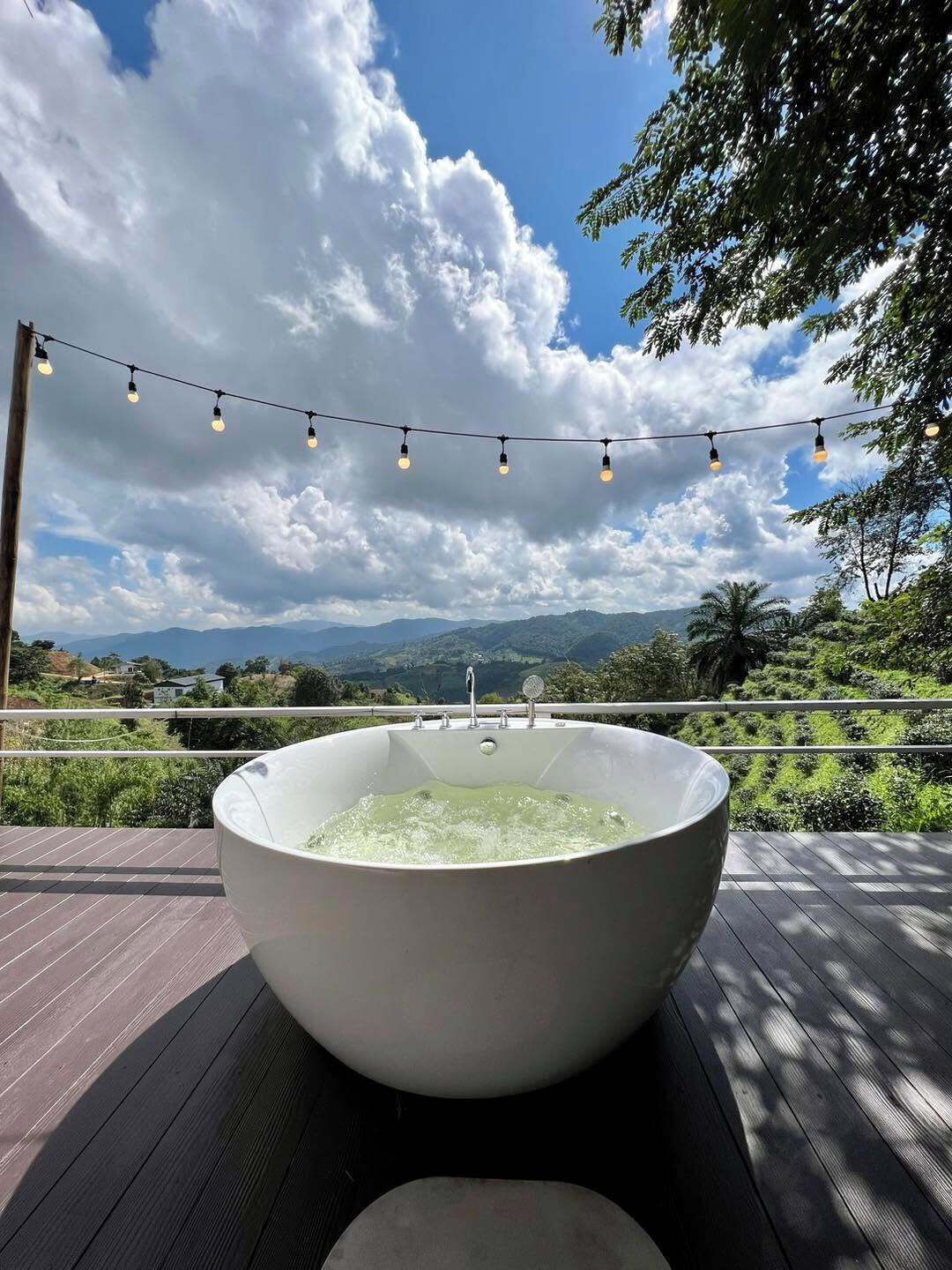 Garden view