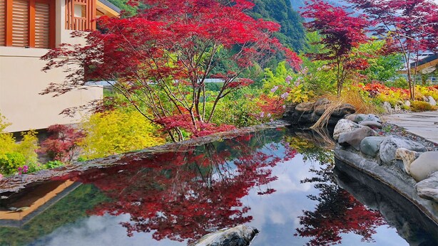 Un edificio tradicional japonés con fachada de madera y reflejo en el agua.