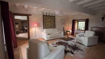 TV, fireplace, books