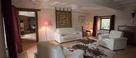 Televisión, chimenea y libros