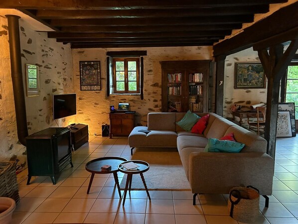 TV, fireplace, books