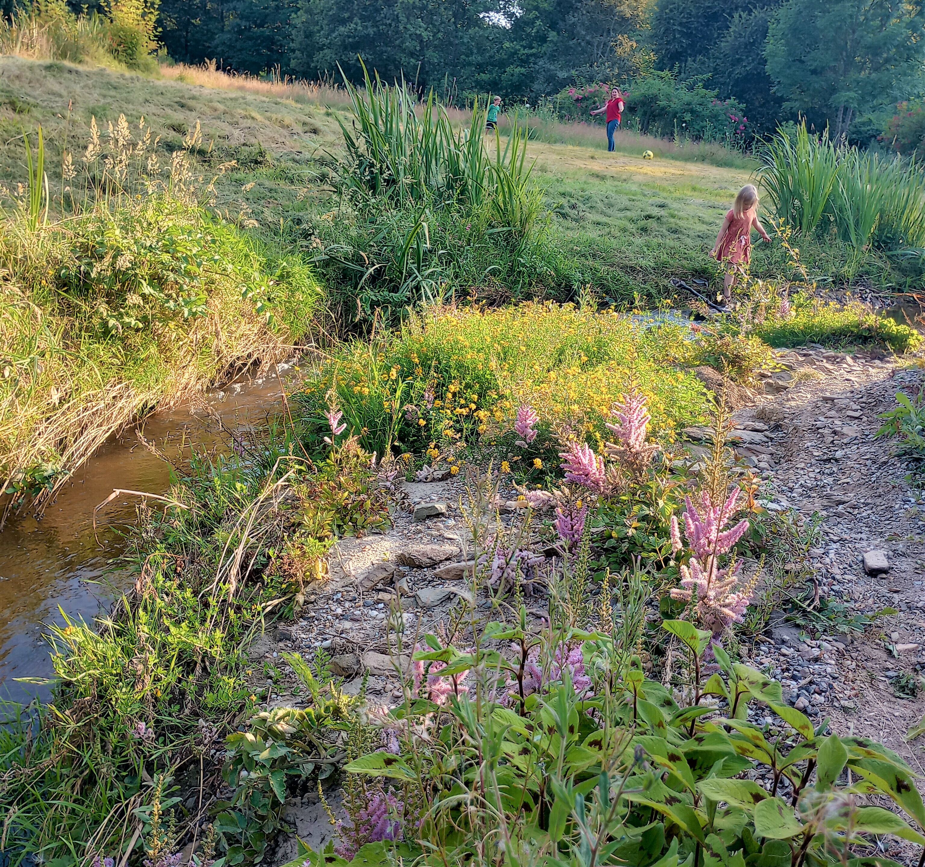 Un espace naturel en plein air comprenant un ruisseau, une végétation variée et un champ d’herbe.