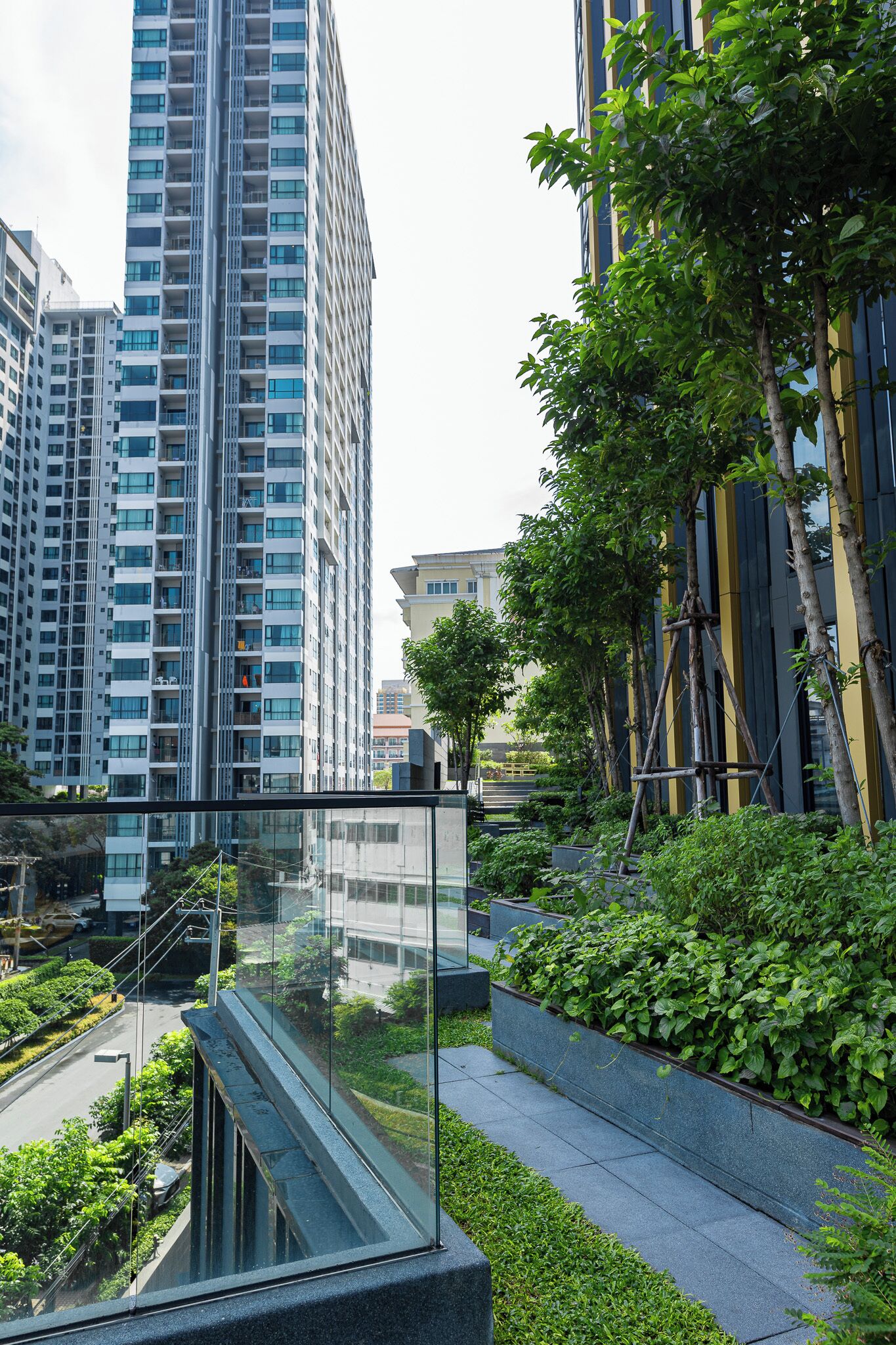 A modern urban setting with high-rise buildings, a glass bridge, and lush greenery.