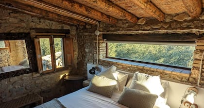 Casa Hostalets - In the Middle of the Olive Trees