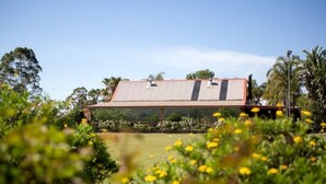 A modern house with a flat roof, surrounded by lush greenery and yellow flowers.