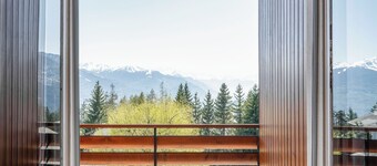 历史悠久的埃尔西酒店 - 克朗萨平