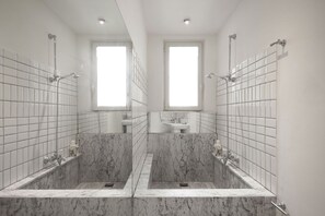 Hair dryer, bidet, towels