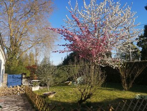 Property grounds - Charming lodging near Angers with private outdoor space (Loire-Authion)