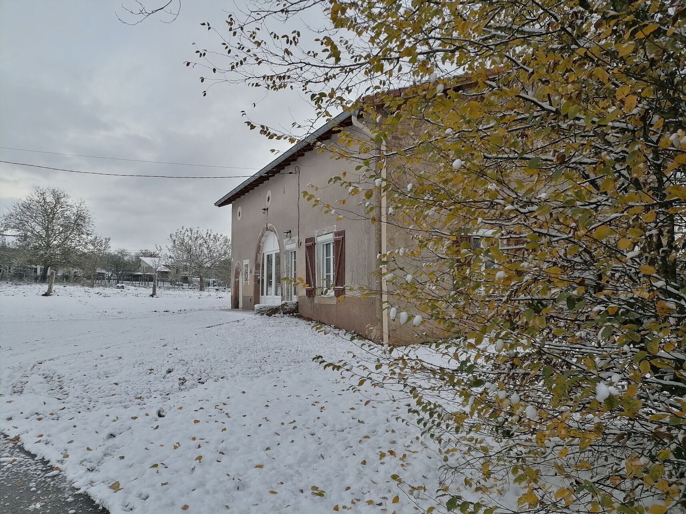 Exteriör