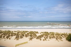 Een strand met een zandstrand, begroeiende duinen en een pier die in de oceaan uitloopt.