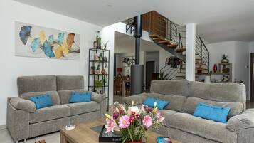 Télévision, baby-foot, table de tennis de table, livres