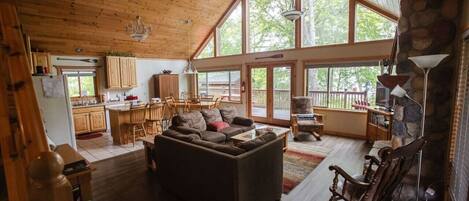 TV, fireplace, books