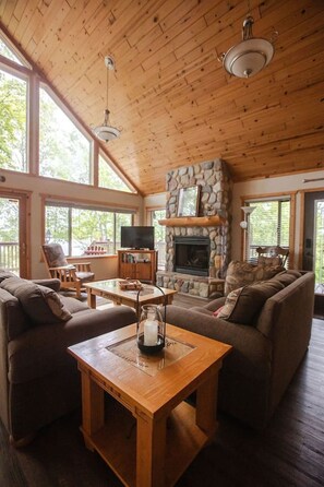 TV, fireplace, books