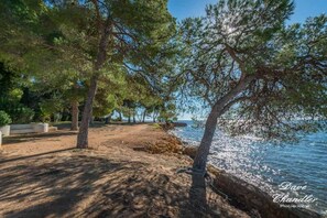 A beach with trees and a clear view of the sea. - Apartamentos Niko (Santa Eulalia del Rio)