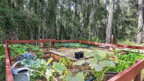 Property grounds - The Treehouse - Pet Friendly home in Jervis Bay! (Saint Georges Basin)