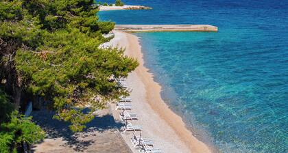 Hotel Waterman Kaktus